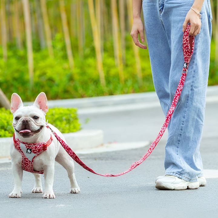 Strong Leashes for Safe Pet Walks