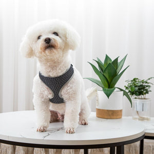 Enhance Your Pet's Outdoor Adventures with Our Stylish Harness